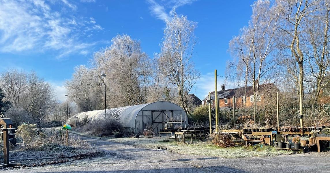Grange Community Garden A garden on a frosty morning at Grange Community Garden.