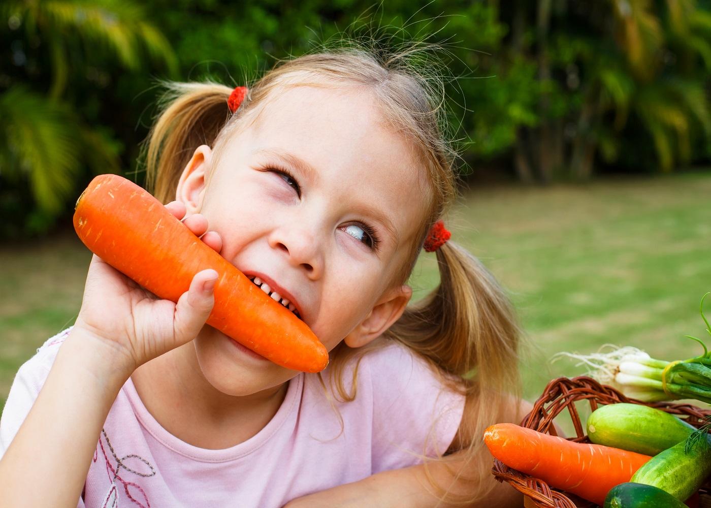 Free School Meals 