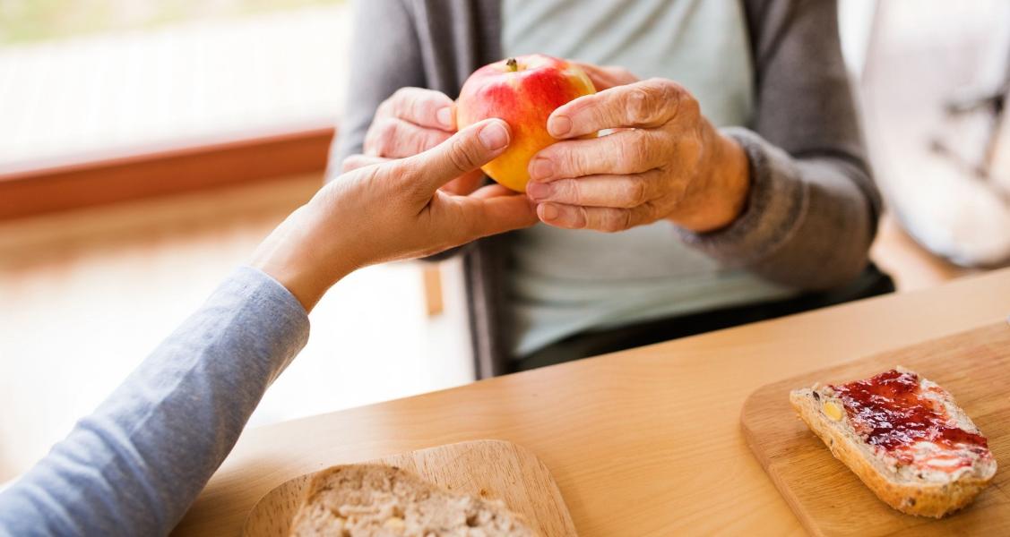 Unrecognizable health visitor and a senior woman during home vis