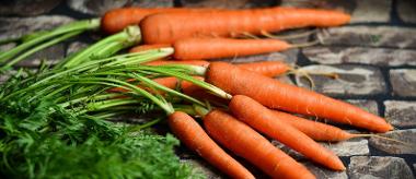 Carrots on a wooden background