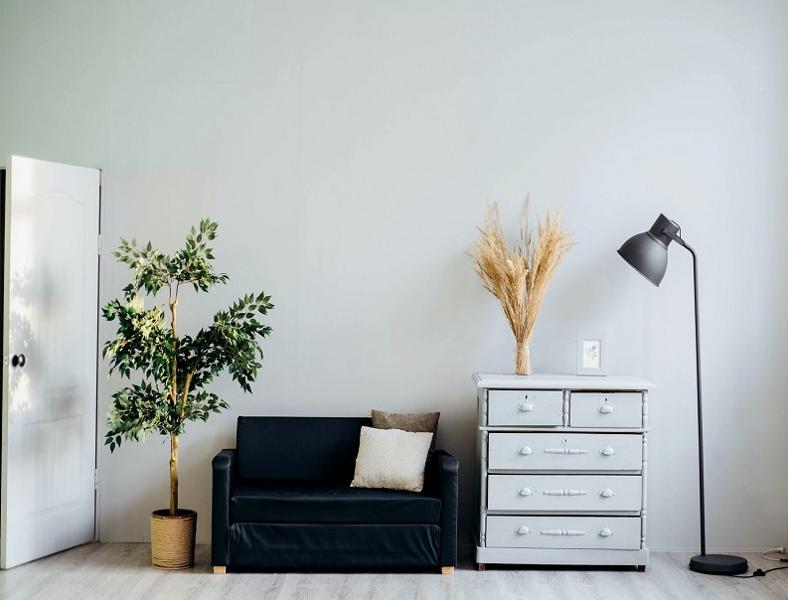 A blue couch, a plant and chest of draws on a white walled background