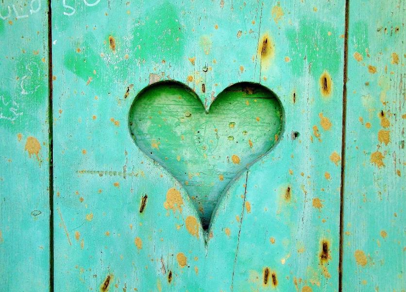 A heart shape in piece of green wood